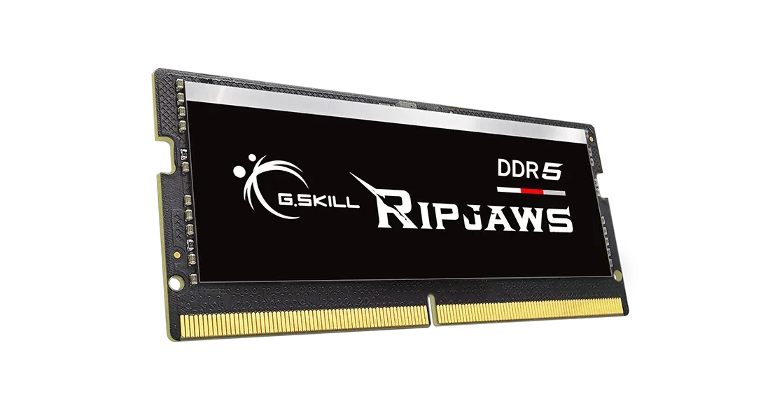 G.SKILL DDR5 SODIMM Ripjaws 16GB (1x16GB) DDR5 5600MHz F5-5600S4040A16GX1-RS Memory