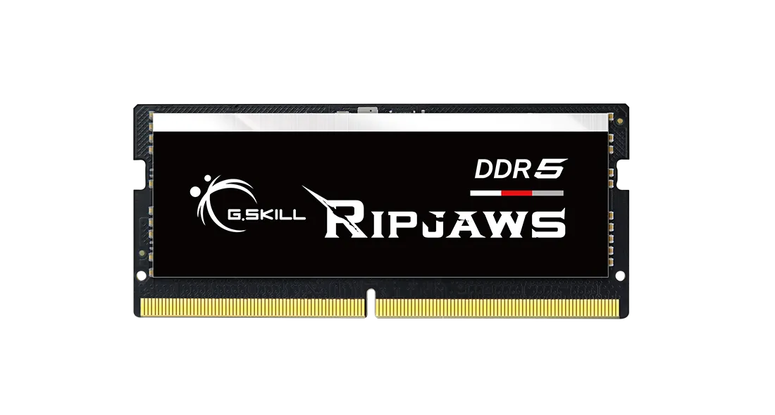 G.SKILL DDR5 SODIMM Ripjaws 16GB (1x16GB) DDR5 5600MHz F5-5600S4040A16GX1-RS Memory